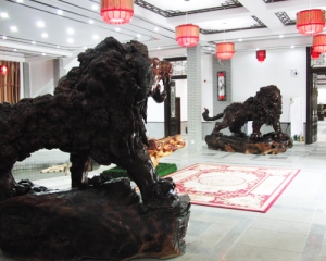 沧州艺术展示中心